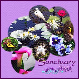 Sanctuary CD Cover