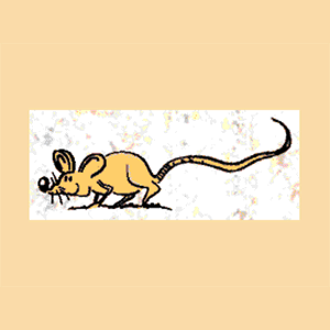 Animated Mouse